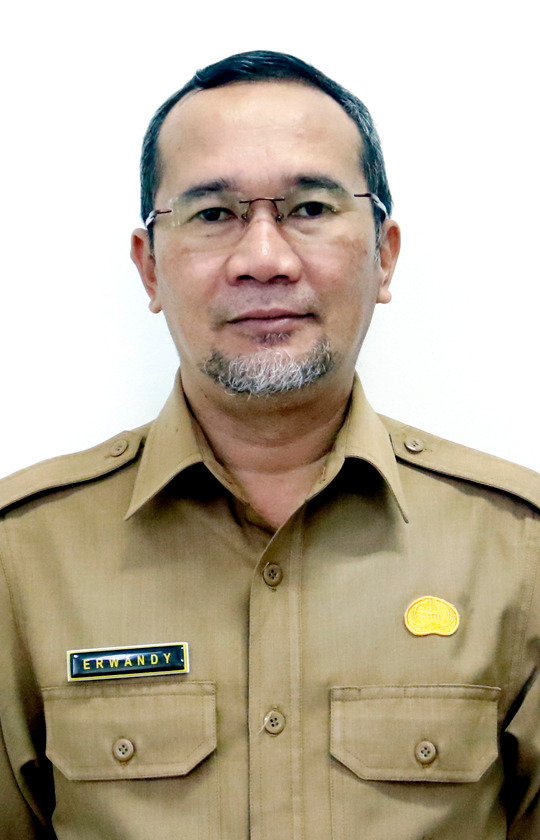 Dr. Erwandy, S.E., M.M